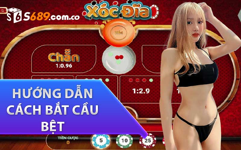 Hướng dẫn cách bắt cầu bệt xóc đĩa tại s689